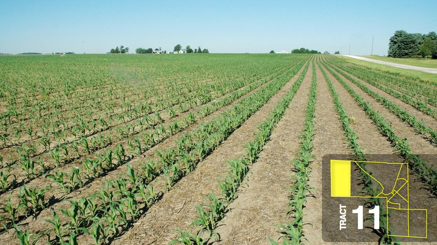 Land Auction 458+/- acres in 11 Tracts - Farmland, Woods